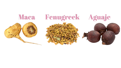 Natural arrangement of three herbal ingredients including maca root for energy and hormonal balance, aguaje fruit rich in phytoestrogens and vitamins, and fenugreek seeds traditionally used for women’s wellness, supporting body-enhancing and skin benefits